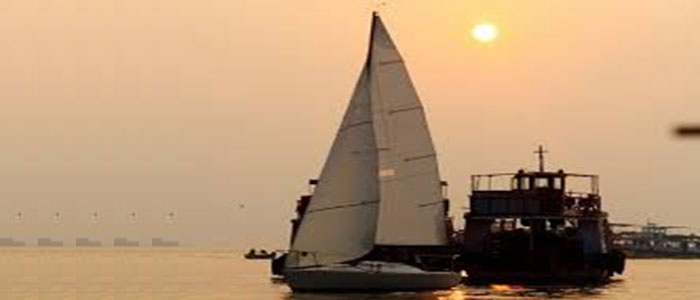 J 24